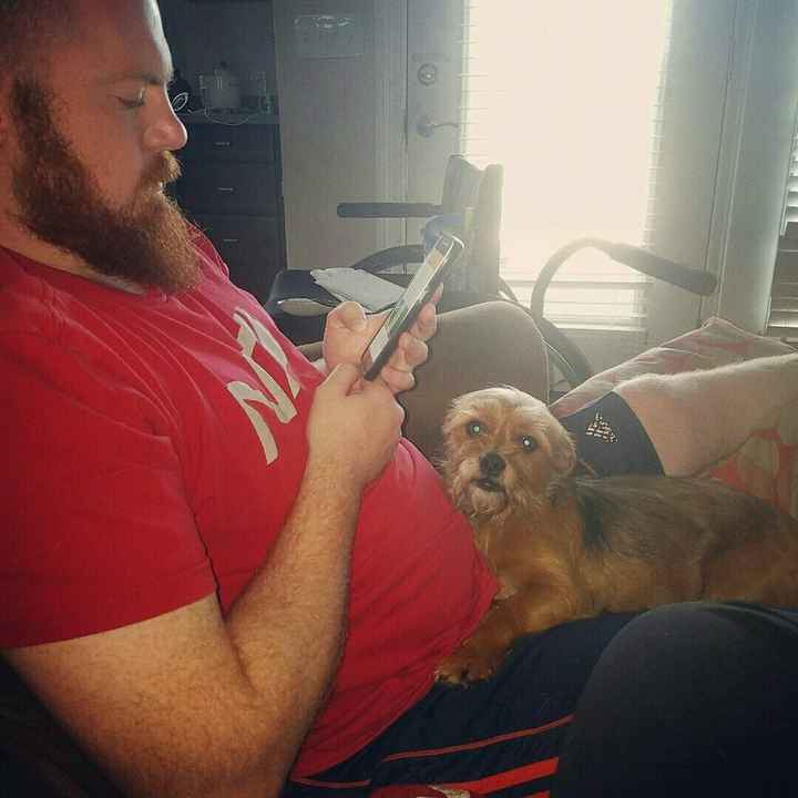 Who let the dogs out? (Introduction)