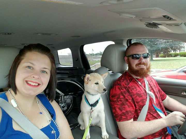 Who let the dogs out? (Introduction)