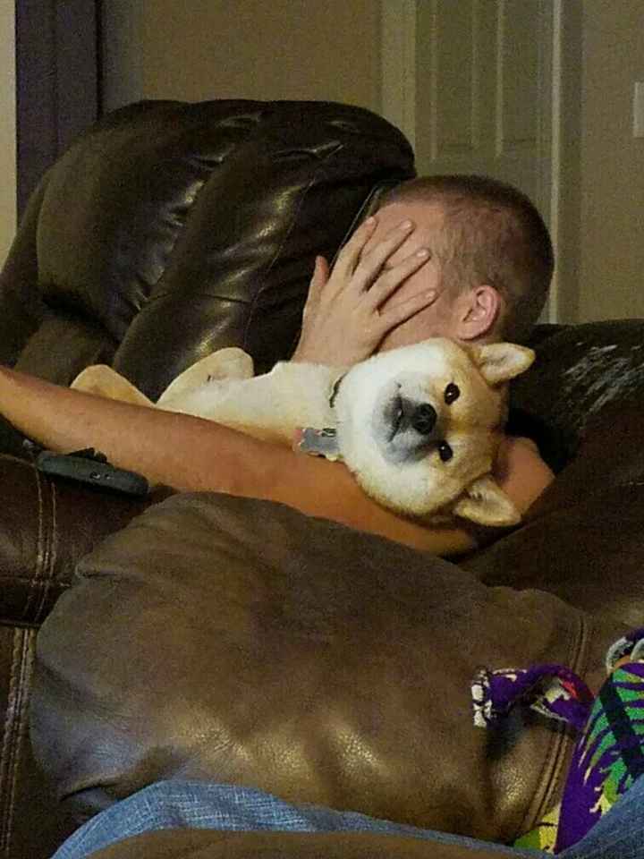 Who let the dogs out? (Introduction)