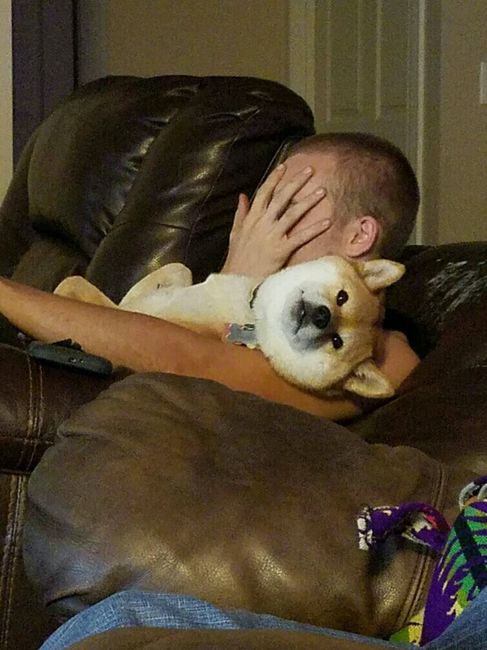 Who let the dogs out? (Introduction)
