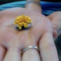 DIY paper flowers (picture)