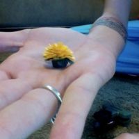 DIY paper flowers (picture)