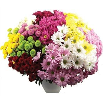 flowers or no flowers?