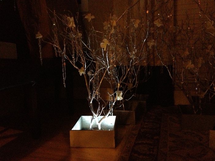 Diy Centerpieces