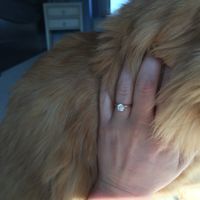 Let's see those beautiful rings lady's!