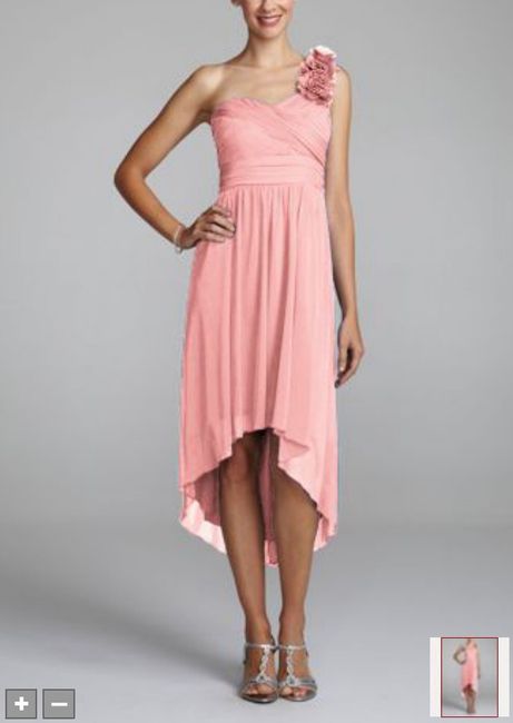 Anyone using David's Bridal For Their Maids,which dress did you pick?