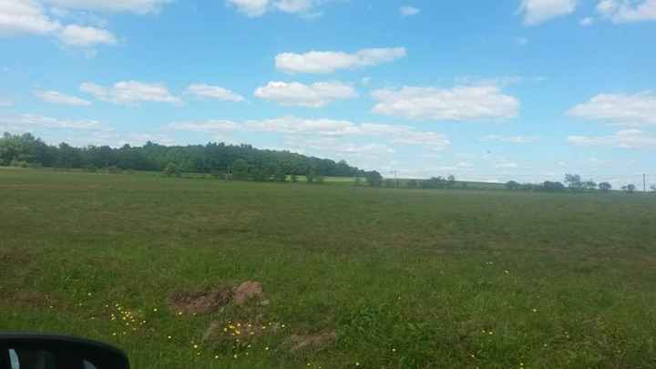 i need your help - Woodstock Themed Wedding Decor for the Modern Bride - 3