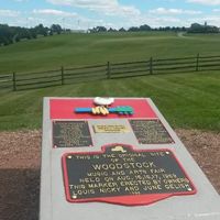 i need your help - Woodstock Themed Wedding Decor for the Modern Bride - 1