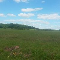 i need your help - Woodstock Themed Wedding Decor for the Modern Bride - 3