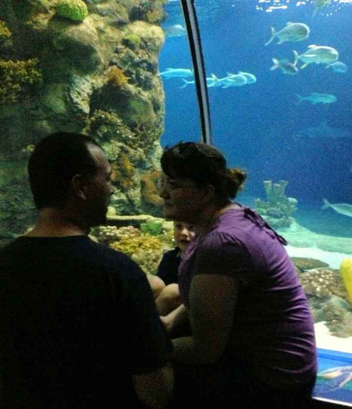 Show me your proposal pictures!(or e-pics)