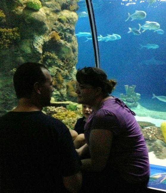 Show me your proposal pictures!(or e-pics)