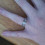 FutureMrsT