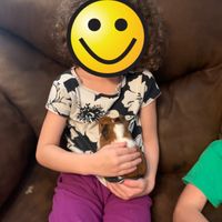 Flower girl hair - 1