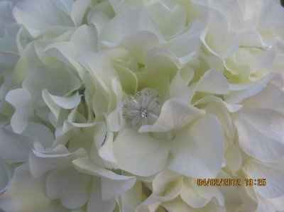~~My DIY Bouquets~~