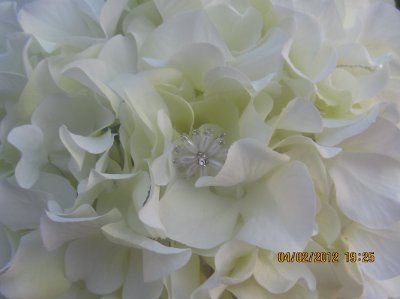 ~~My DIY Bouquets~~