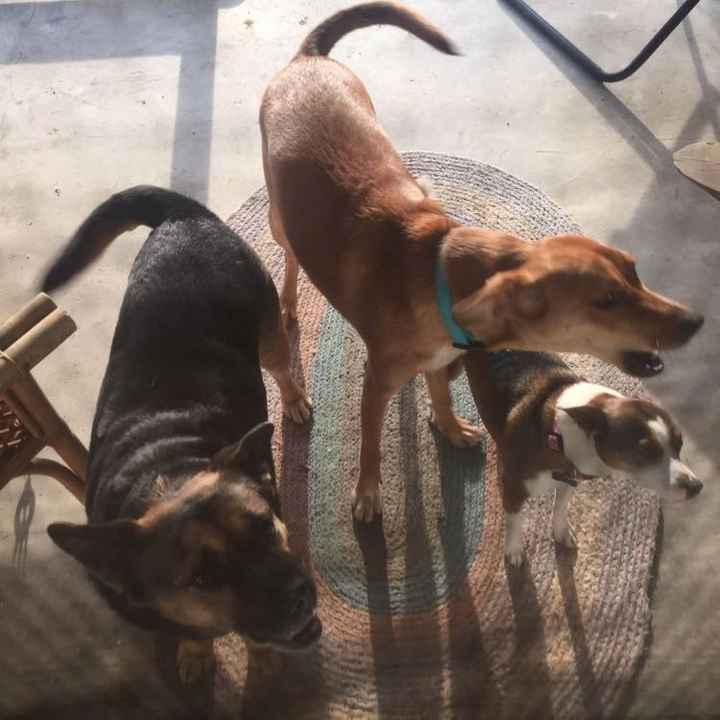 NWR: Show me your pups!