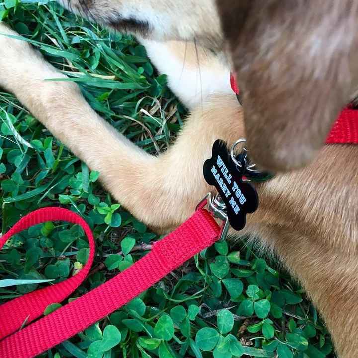 How did your FS propose?