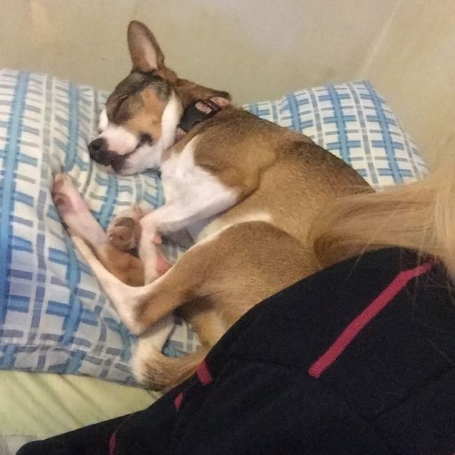 NWR: New puppy!