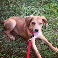 How did your FS propose?