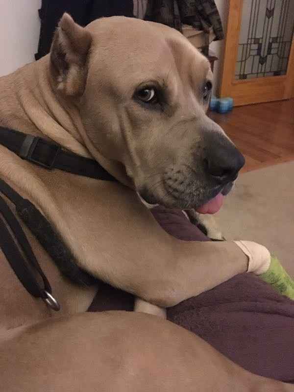 Monetary  or gift list