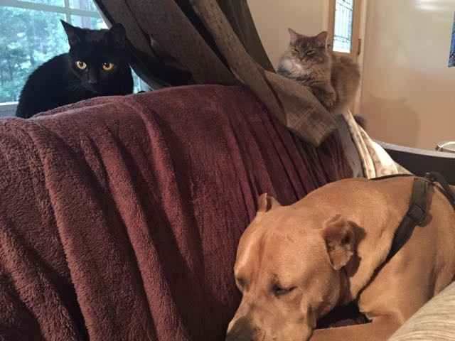 NWR: How could you even consider it?