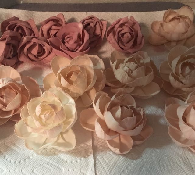 Sola Flowers