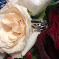 Couples getting married on Apr 29, 2018 in Florida - 1