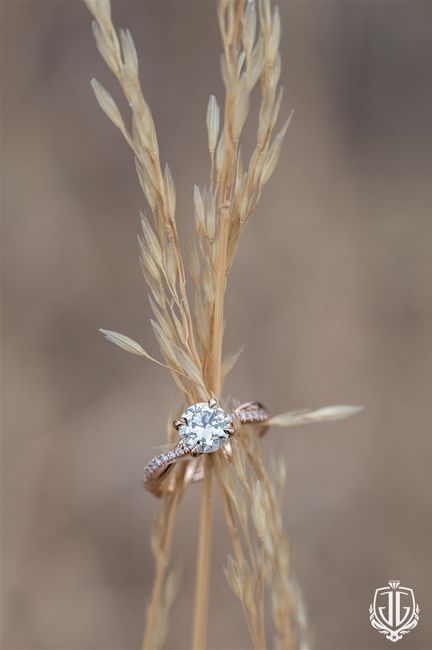 Brides of 2022! Show us your ring! 10