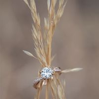 Brides of 2022! Show us your ring! - 1