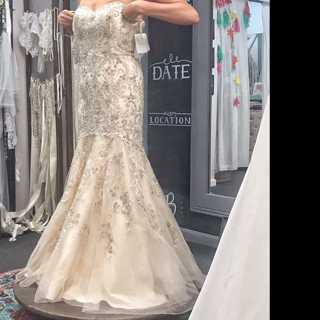 Champagne wedding dress, but what color for bridesmaids and groom/groomsmen? Help! 1