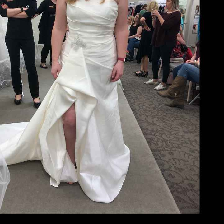 Decided on my Dress! - 1