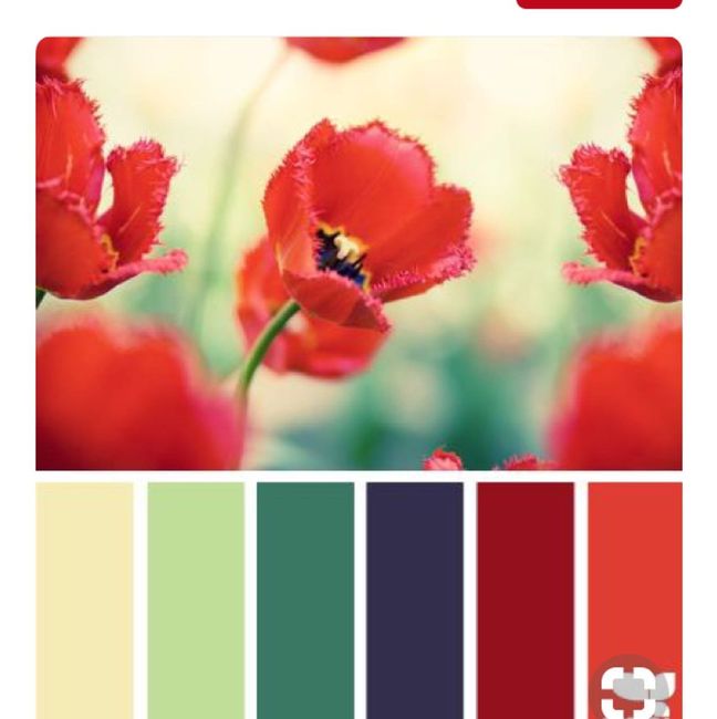 Spring Weddings!!  What are your wedding colors? 6