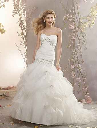 Need advice: Cover Up and Wedding Gown Match?