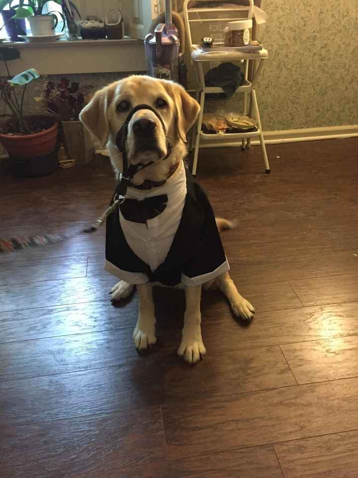 Children in the ceremony