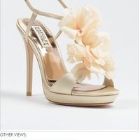 So, after a lengthy search, I found my...