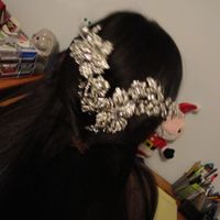 Hair Bling: Too much?