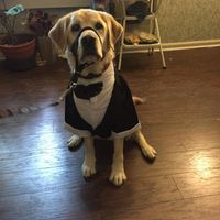 Children in the ceremony