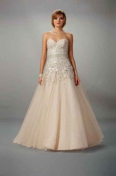 Ladies, what dress did you wish you could have tried on but didn't or couldn't get the chance to?