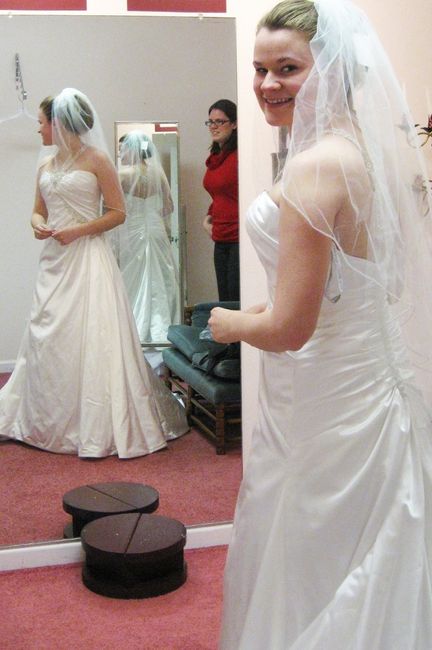 Alfred Angelo Brides... let's see your dresses!
