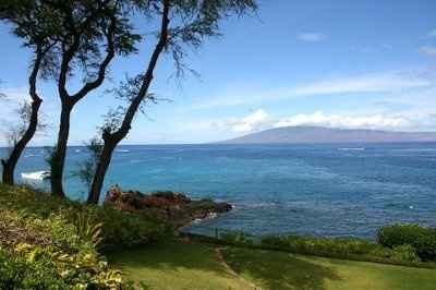 I'm a Mrs.!!! :D (lots of pictures!)