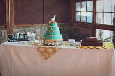 Professional Pictures of our wedding are in!! :D