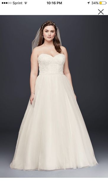 Wedding dress cost! Getting pricey!