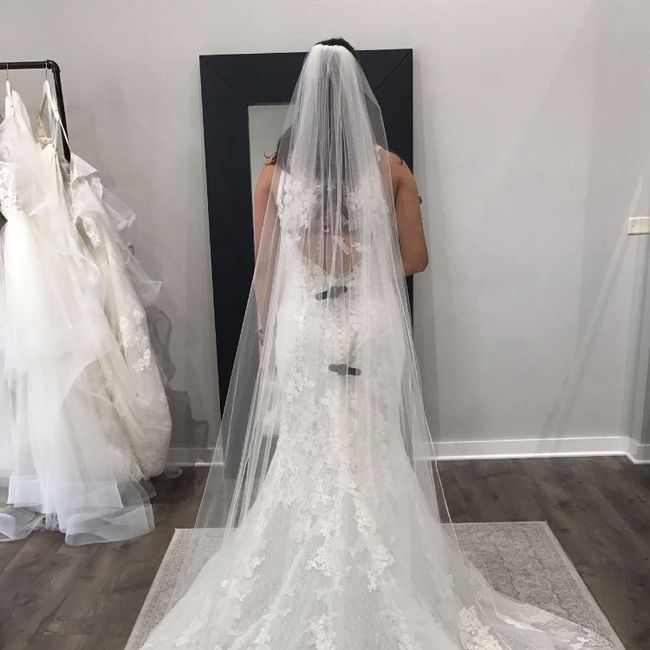 Wedding veil - 3