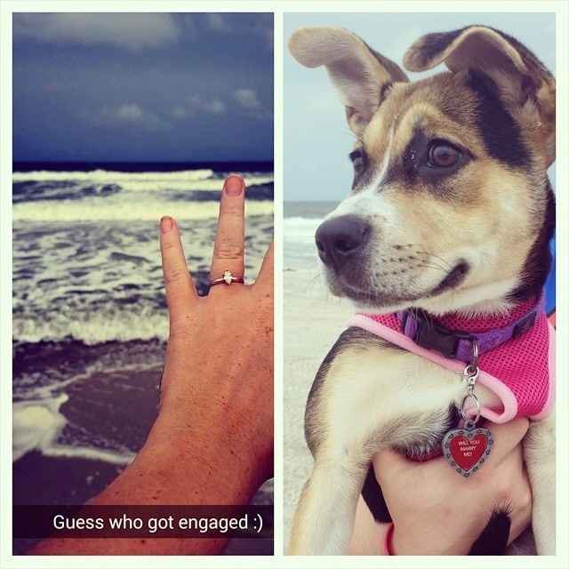 How many of you picked out your engagement ring??