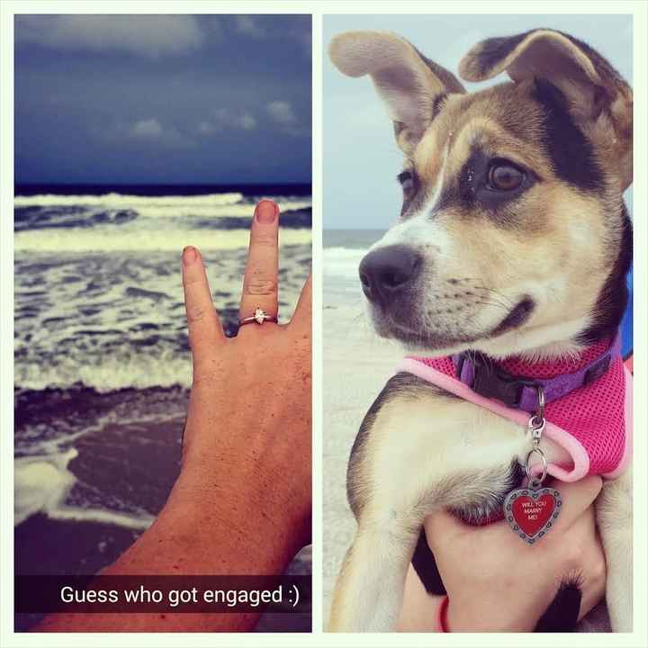 Engagement Stories! Tell me yours...
