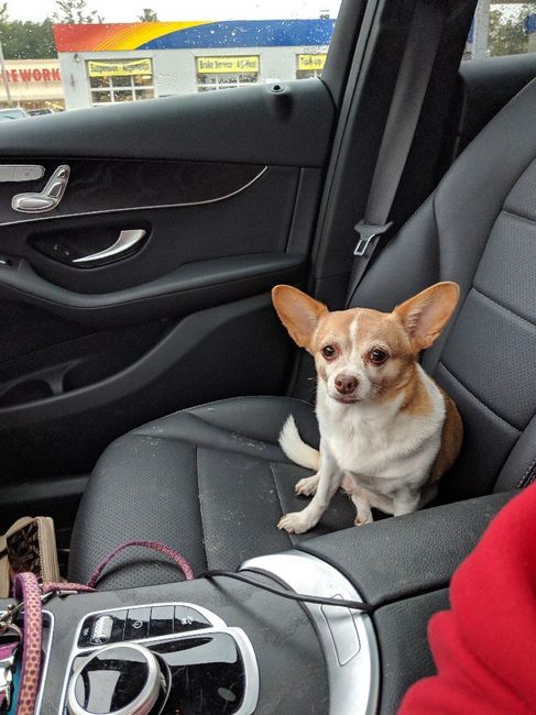Pet owners! :-) Share your pets - 1