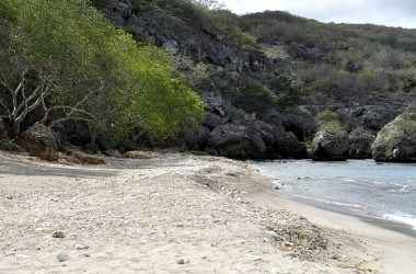 Engagement and planning so far (pic heavy) - 6