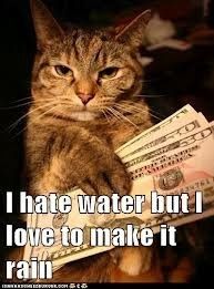TGIF! Friday Cat Pics Included