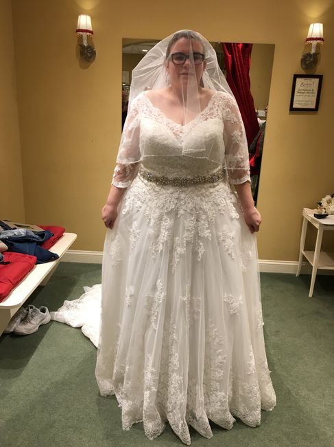 Plus size brides - 3