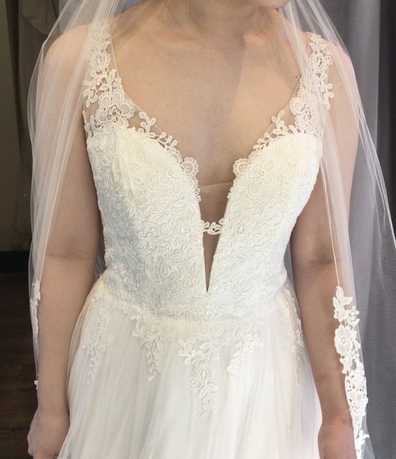 Torn Between Two Wedding Dresses! 5